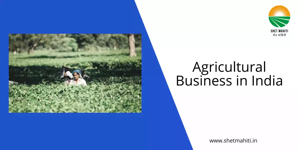 agricultural business ideas